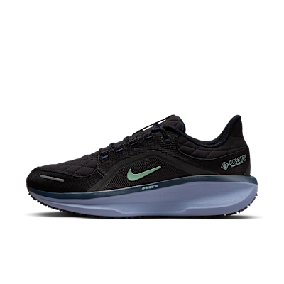 Nike Winflo 11 GORE-TEX
