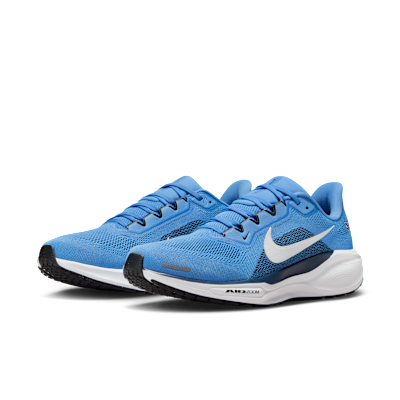 Tennessee Titans Pegasus 41