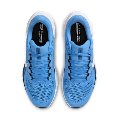 Tennessee Titans Pegasus 41